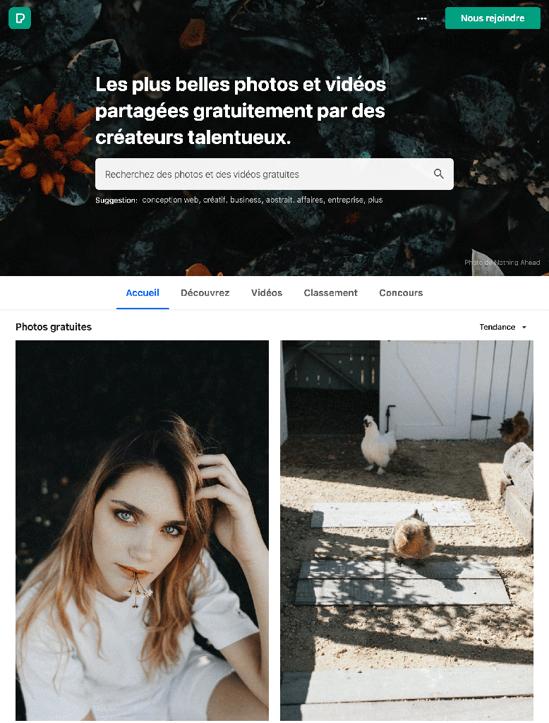 Page d'accueil d'un site web de partage de photos et vidéos gratuites avec deux images en dessous : à gauche, un portrait d'une femme avec une fleur dans la bouche ; à droite, des poules dans une cour.