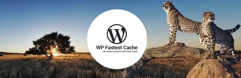 Logo WP Fastest Cache