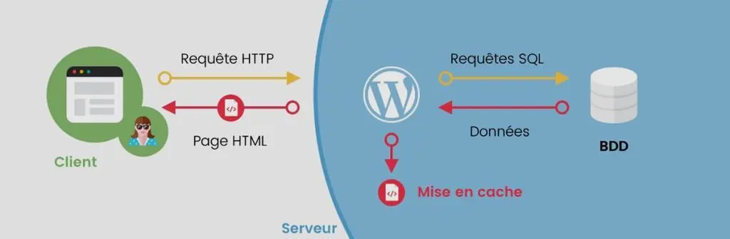 Site Web WordPress avec le cache activé