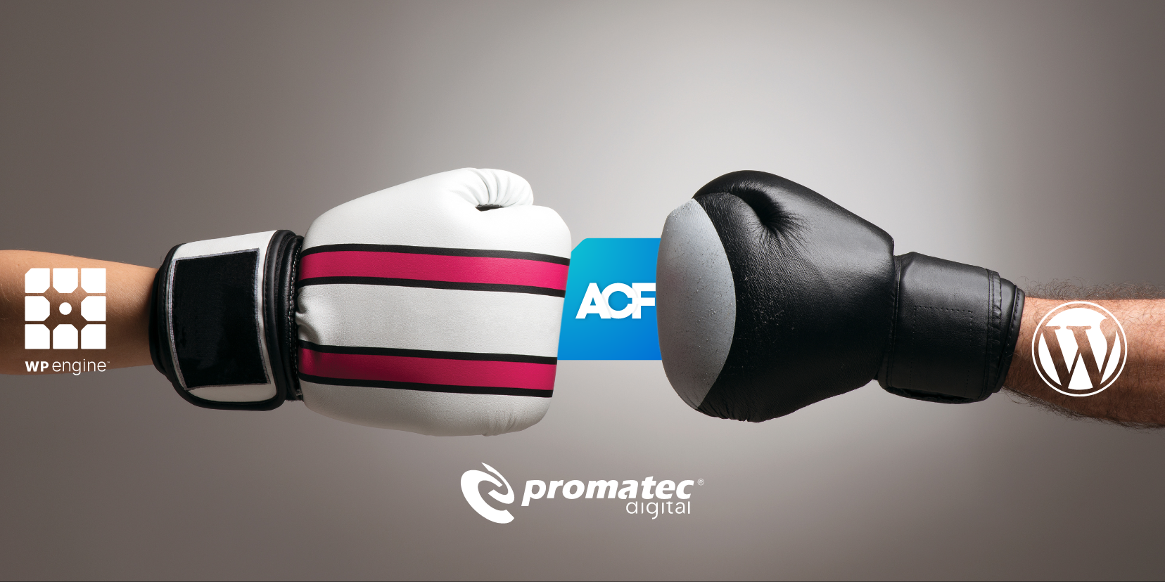 Deux gants de boxe se faisant face avec les logos WP Engine, ACF et WordPress.