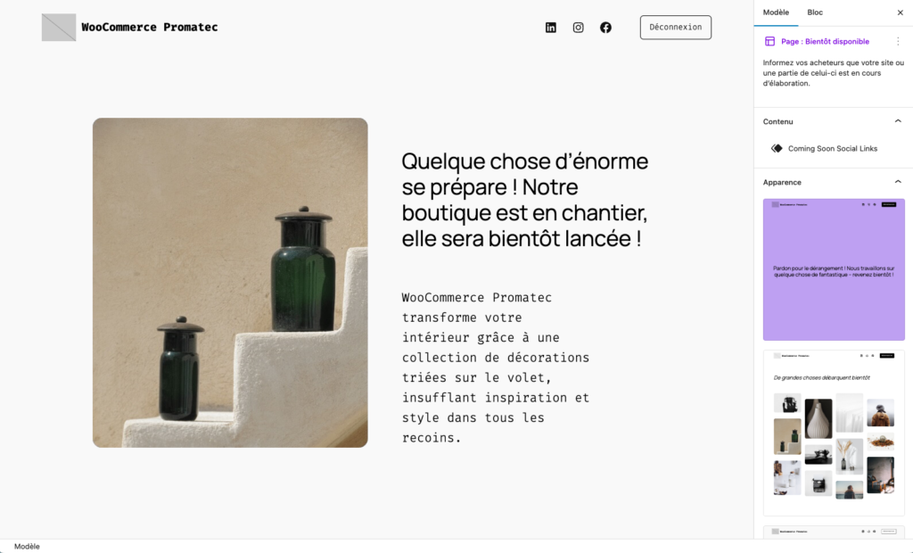 Deux vases en verre vert, l'un grand et l'autre petit, posés sur des marches blanches dans un cadre au ton beige clair, accompagnés d'un texte annonçant l'ouverture prochaine d'une boutique en ligne.