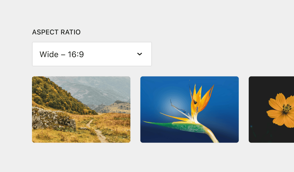 Bloc galerie aspect ratio wordpress
