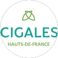 Cigales HDF
